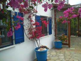 Outside the studio
